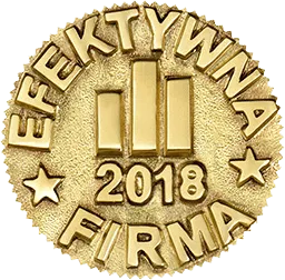 Efektywna Firma