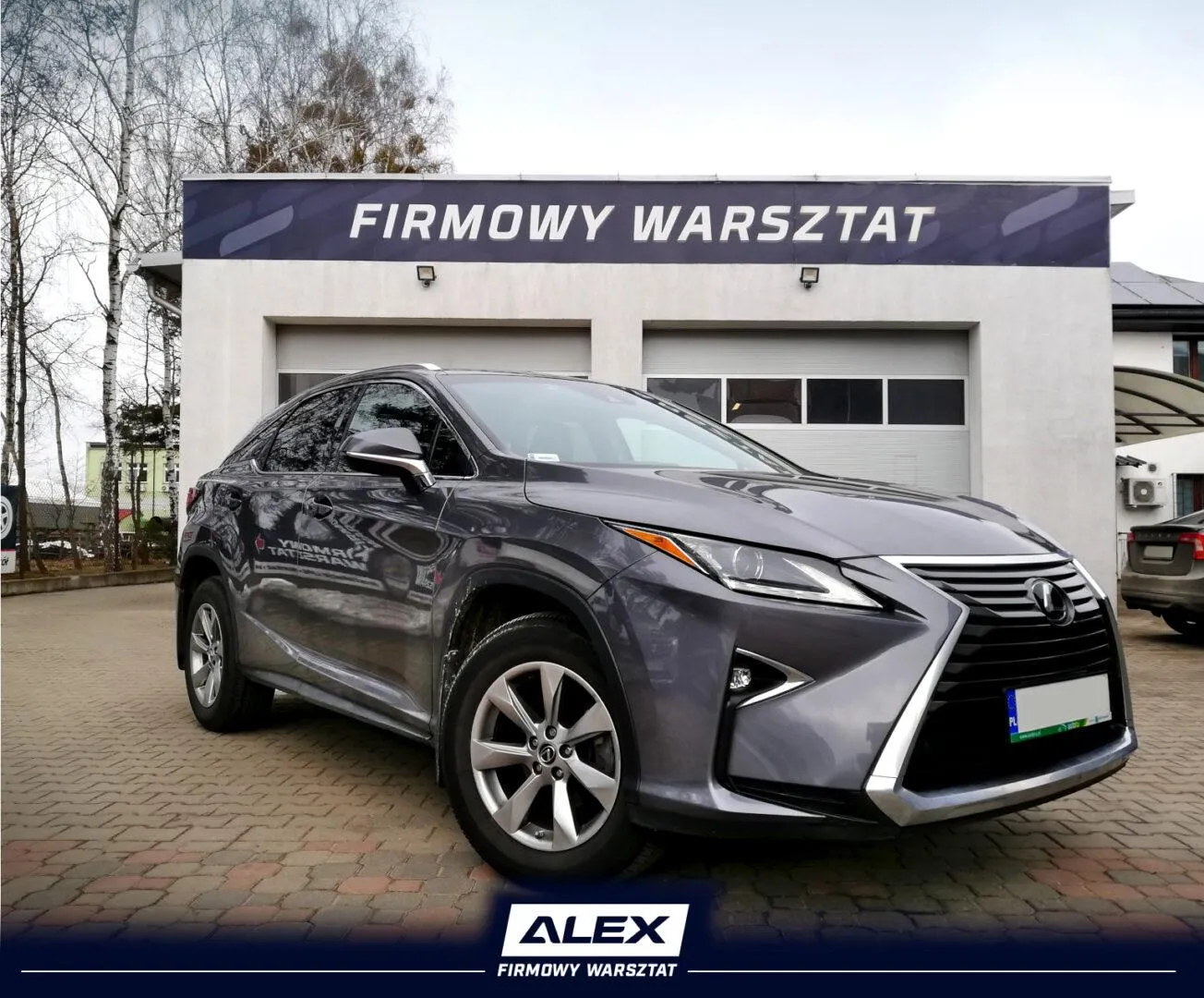 Direct and indirect injection in one? ALEX IDEA and Lexus RX350